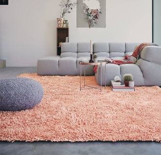 Stunning Shaggy Rugs