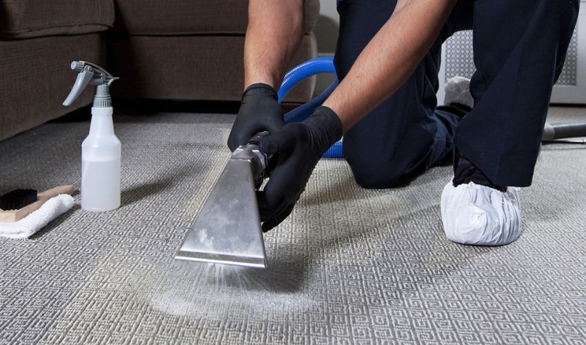 Professional Carpet Cleaner