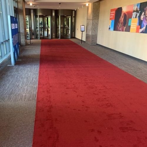 Plush Red Carpet