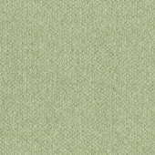 Green Color Fabric