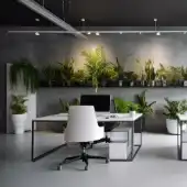 Biophilic Office