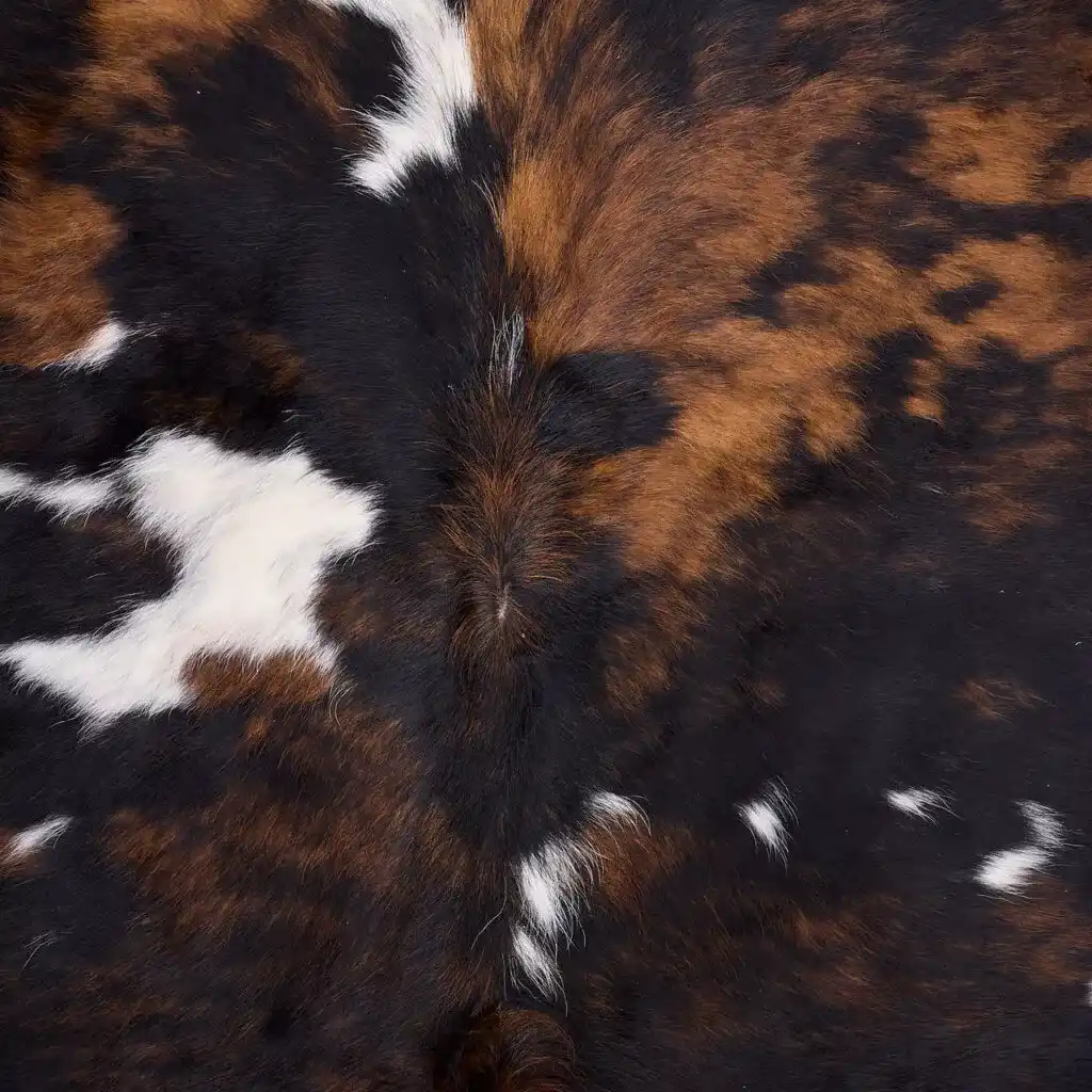 Tricolor Rug