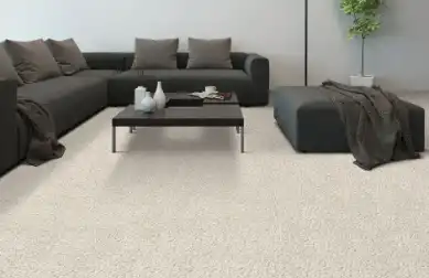 Wall to Wall Floor Carpets