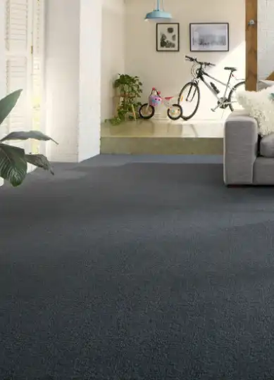 Wall to Wall Carpet